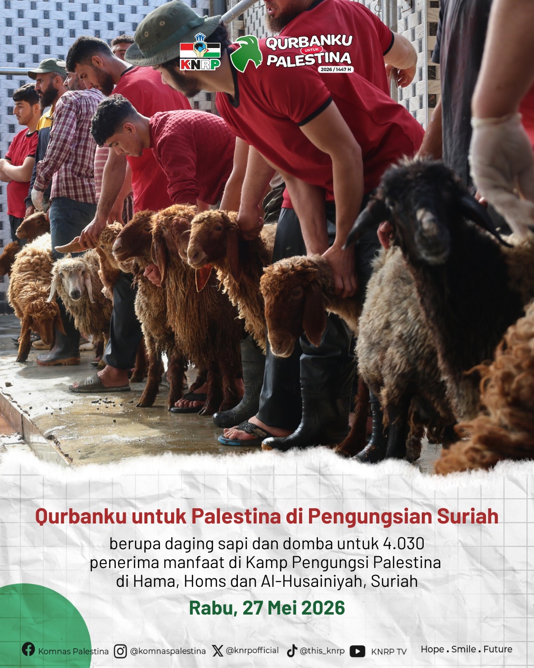 Penyaluran Daging Qurban di Pengungsian Suriah (Rabu, 27 Mei 2026)