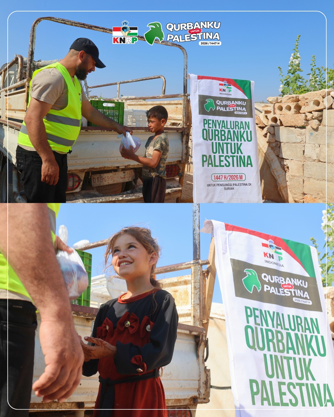 Daging Sapi dan Domba Qurban untuk 4.030 Pengungsi Palestina di Suriah (27/05/2026)