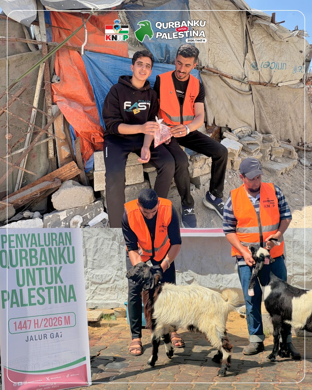 Penyembelihan 4 Ekor Kambing Qurban di Jalur Gaza (27 Mei 2026)